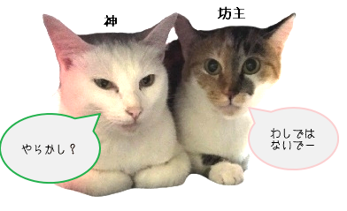 11ae7680-7afd-3cf4-828f-ddcad49c6ec8.png