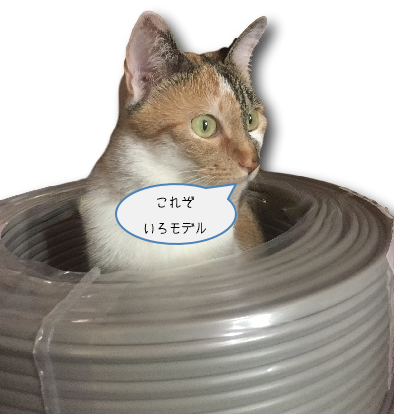 Image 4.png