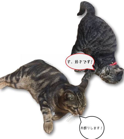 c0687e0a-901b-3125-ae4d-81c43a3b22c7.png