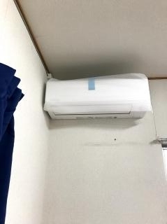 pict-IMG_2521.jpg