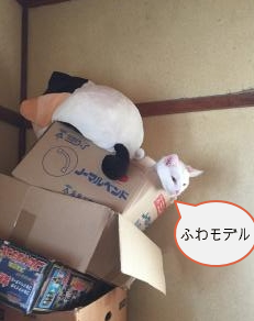 pict-IMG_7058.png