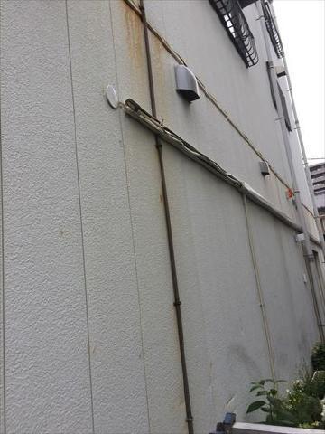 pict-IMG_7485_R.jpg