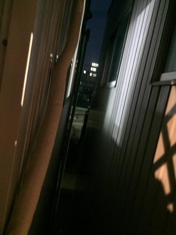 pict-IMG_8555.jpg