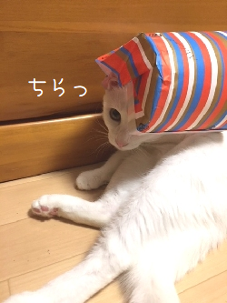 screenshot_20180829_081327.png