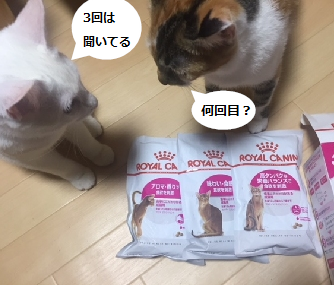 screenshot_20181008_005232.png