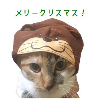 screenshot_20181225_014838.png