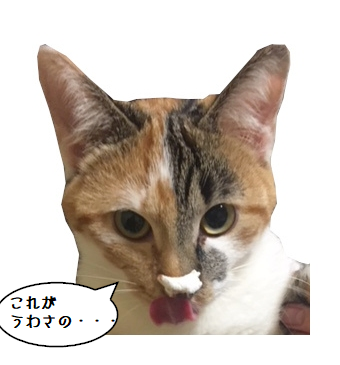 screenshot_20181225_014846.png