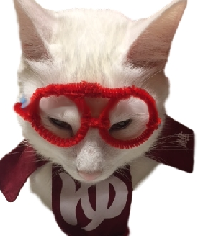 screenshot_20190113_100803.png